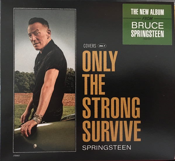 Bruce Springsteen Only