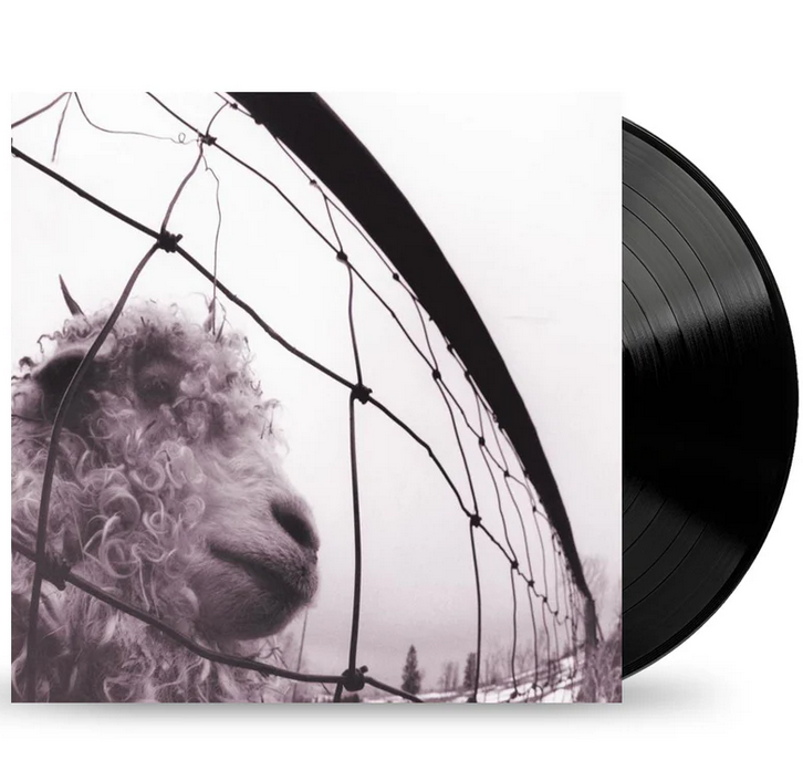 Pearl Jam - Vslp16